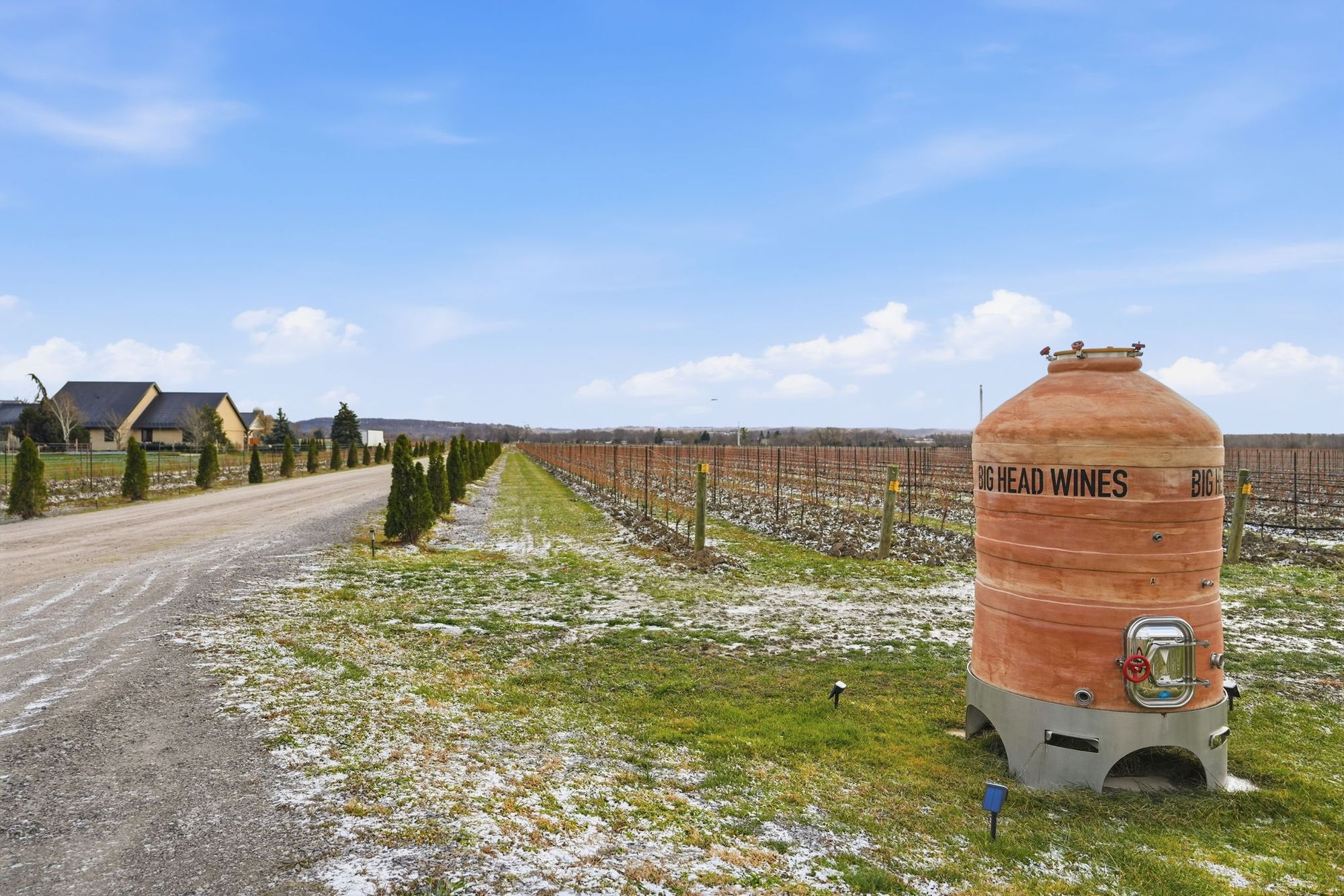 The Big Head Wines amphora at the edge of the vines