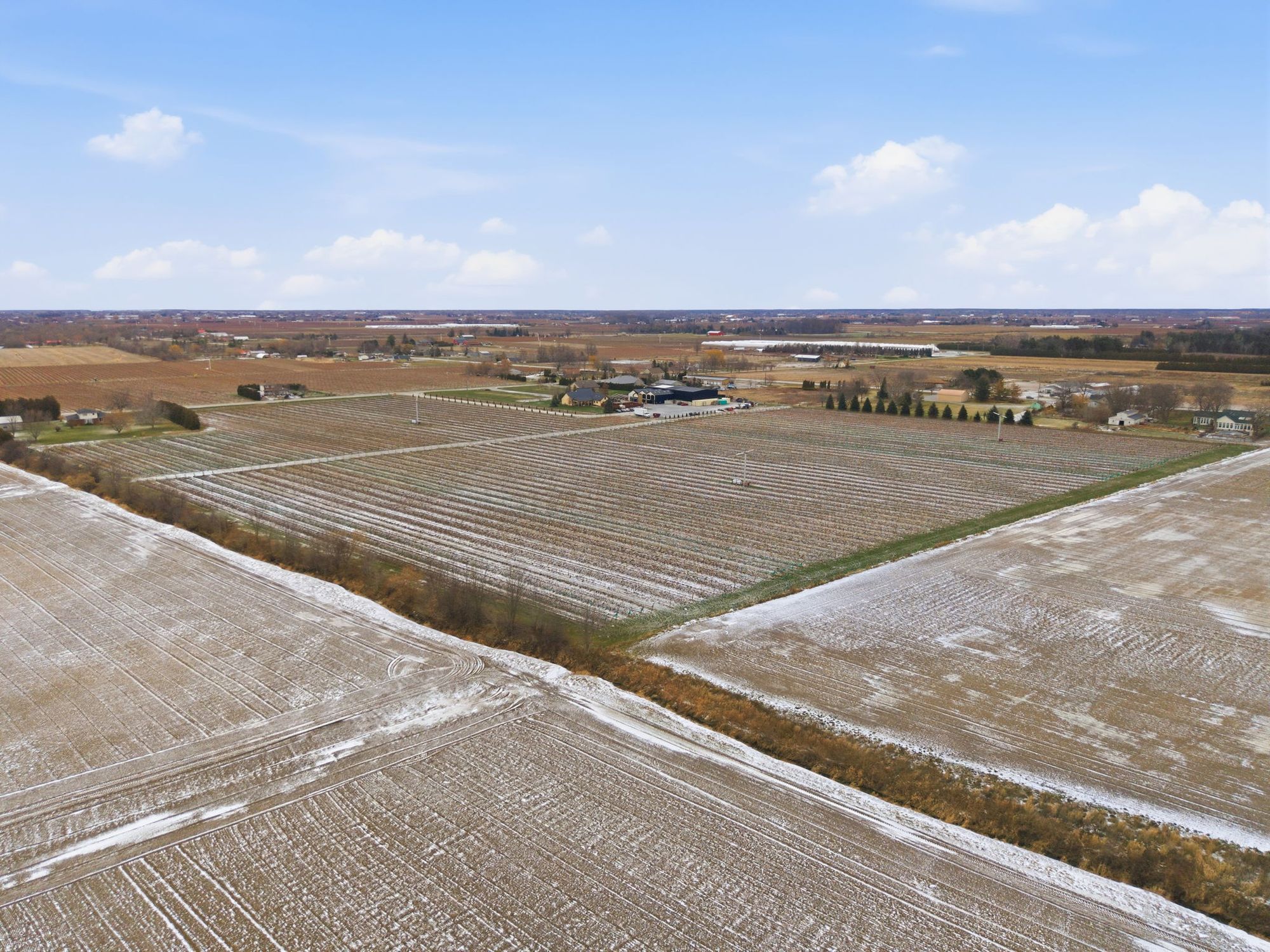 Vine rows on the estate from above