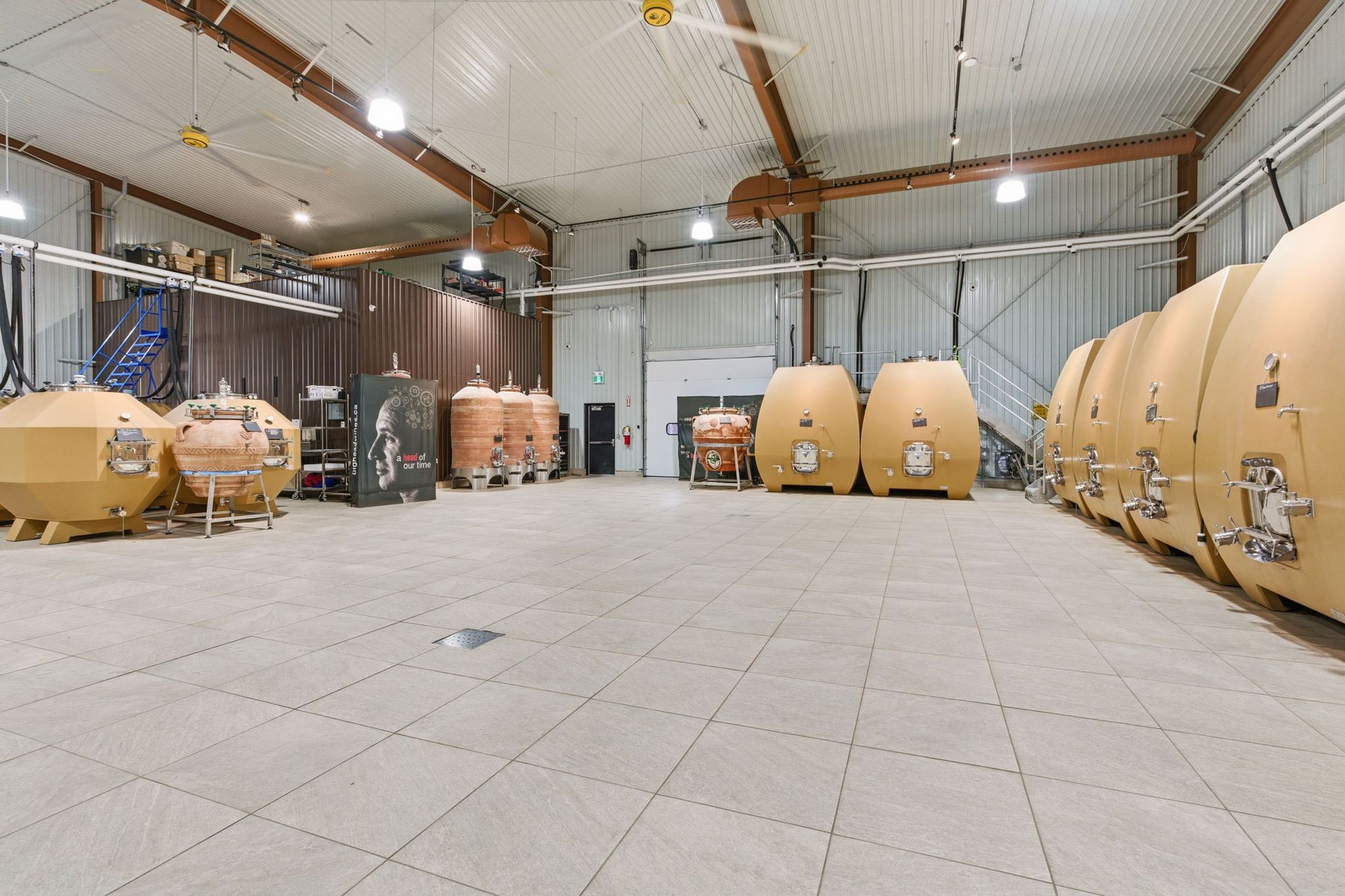The fermentation hall: concrete tanks and clay amphorae